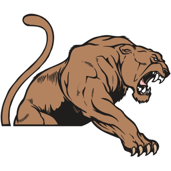 AR COUGAR 55 RC Thumbnail